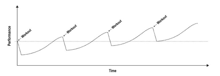 Effectief trainen voor spiergroei en kracht