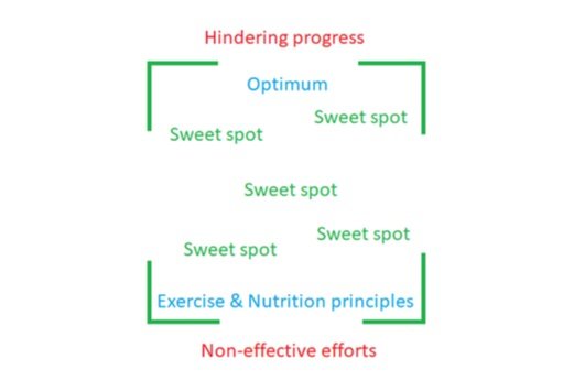 Infographic over de verschillende goede manieren om te trainen.
